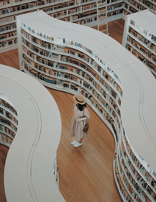 Future of E-Libraries